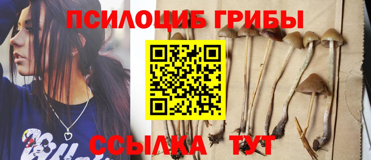 Псилоцибиновые грибы MAGIC MUSHROOMS  Вход с VPN  Галлюциногенные грибы Cubensis  Кандалакша 